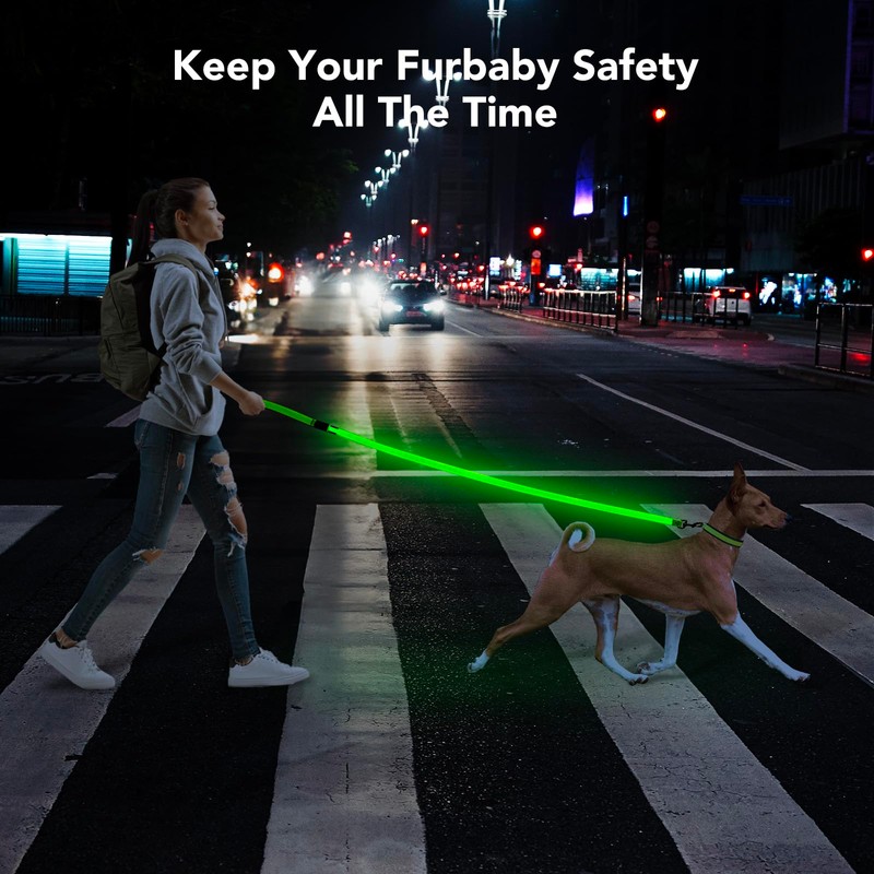 Colaseeme LED Dog Lead Green with 3 Reflective Wires