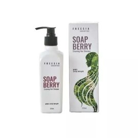 Ten by Ten Soapberry Shampoo for Colored Hair 220ml Damaged Hair Colored Hair Perm Saponin / 텐바이텐솝베리 염색머리 전용샴푸 220ml 손상모 염색모 파마 사포닌