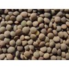 Lentils 15 Lbs, Joseph's Grainery Brown Lentils, All Natural, Non-GMO,