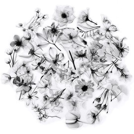 50PCS Black and White Flower Sticker for Teens Friends Teens Adults,Watercolor Floral Transparent Decals for Water Bottle Scrapbook Skateboard Luggage Laptop Journal Guitar Computer Phone