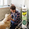 Raid Ant and Roach Killer Aerosol Spray with Essential Oils