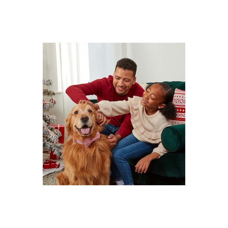 Milk-Bone Dipped Gingerbread Artificially Flavored Dog Biscuits, 10 oz Bag