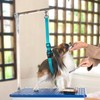 Jelly Pet Dog Belly Loop Restraint for Pet Grooming Table