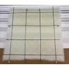 20 x 25 Paint Arrestor Holding Grids Case 20 AFC-CT1011