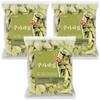 3 150g domestic guava leaves guava leaf tea / 국산