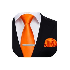 HISDERN Men's Orange Ties Set Solid Color Necktie and Pocket Square with Tie Clip Formal Classic Neckties and Handkerchief for Wedding Business Party