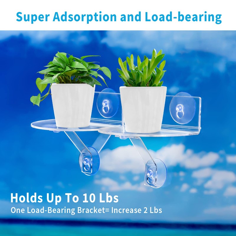 Skewo 2-Pack Acrylic Window Plant Shelves with Suction Cups &