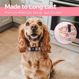 QQPETS Reflective Dog Collar for Larges Dogs, Pretty Garden Theme Heavy Duty Nylon Collar for Boy and Girl Pet, Soft Necklace with Quick Release Buckle, Apricot