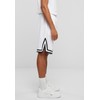 Karl Kani Men's Signature Mesh Shorts, white / black, XXL