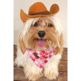 Babole Pet Valentines Dog Bandanas 2 Pack, Pink Red Heart Pattern Valentine Dog Scarf Bib for Boy and Girl, Cute Holiday Bandana for Medium and Large Dogs