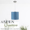 Aspen Creative 72181 1-Light Hanging Pendant Ceiling Light with Transitional