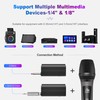 HWWR Wireless Microphones, Professional Dual Karaoke Microphones, Wireless Dynamic Microphone