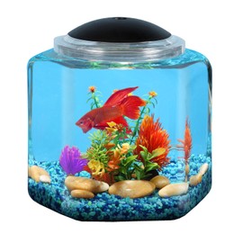 Koller Products 2-Gallon Hex Aquarium Starter Tank - LED Lighting (7 Color Selections), Impact-Resistant Plastic Fish Bowl with Stand for Betta/Nano/Goldfish, Wedding Event & Home Decor