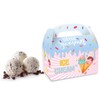 Ice Cream Goodie Boxes, Pack of 12 Paper Gift Boxes