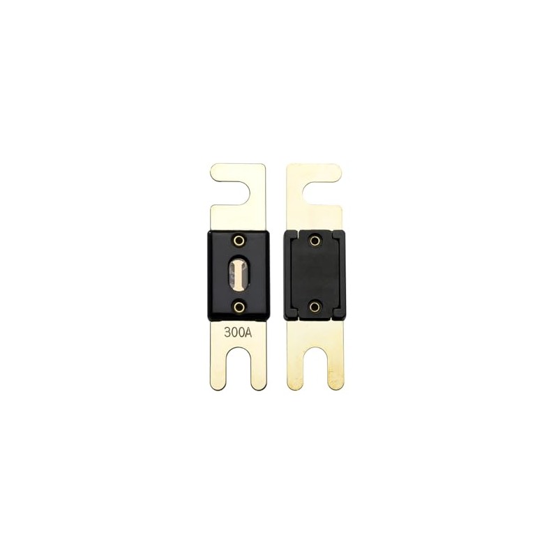 Offgridtec 300A 72V ANL Fuse DIN43560/1 Set of 5
