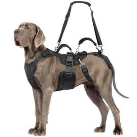 Dog Lift Harness, Dog Support & Recovery Sling for Full-Body & Hind/Front Leg – Pee-Able Design for Large/Medium Dogs – All-in-One Ideal Assistance for Senior, Disabled, Arthritic & ACL Canines (M)