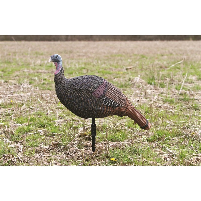 M.A.D MD-700 Shady Baby Upright