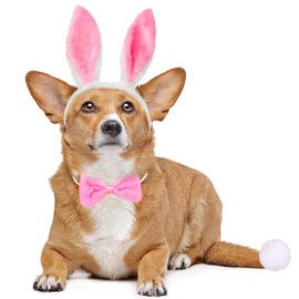 BoomBone Disfraz de Conejo para Perro, Orejas y Cola de Peluche Blanco y Rosa, Ajustable, Perfecto para Pascua, Halloween y Fiestas