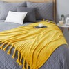 Homiest Fleece Throw Blanket with Fringe, Soft & Cozy Flannel