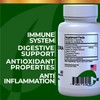 HALLUSA NATURAL Chancapiedra Ultra - Kidney Support Supplement - Natural
