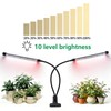 Full Spectrum 84 LED Grow Light for Indoor Plants, 6500K