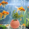AnRui Medium Pottery Jar for Fixing Aquatic Plants, Anti-Floating Ceramic