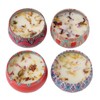 4pcs Dried Flower Aromatherapy Candle Set Long Lasting Aroma Scented