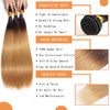 Ombre 1B27 Straight Human Hair Bundles Tow Tone Black to