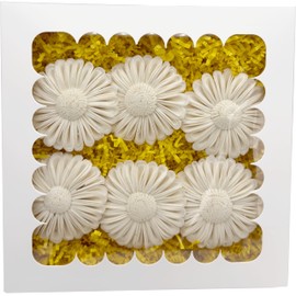 Mandarin Bird Toys 6002 Sola Daisy Beak Box