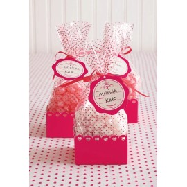 Martha Stewart Holidays Valentine Mini Cello and Tray Treat Bags -- New Package