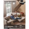 Homlit 42 inch RGB Ceiling Fan with Light, Smart App