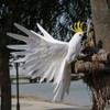 Taotenish Artificial Birds Lifelike Feathered Birds Model Artificial Birds Lifelike