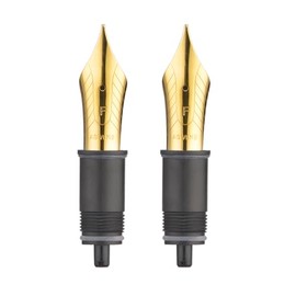 Asvine - Set of 2 8 Replacement Nibs, Compatible with All 8 Nib Fountain Pens (C2000 and C80), Gold