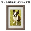 Hakuba Chululu FCHL-P01BR P01 Picture / Photo Frame, Fits 3.5