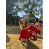 Dogs Waterproof Jacket, Lightweight Waterproof Jacket Reflective Safety Dog Raincoat
