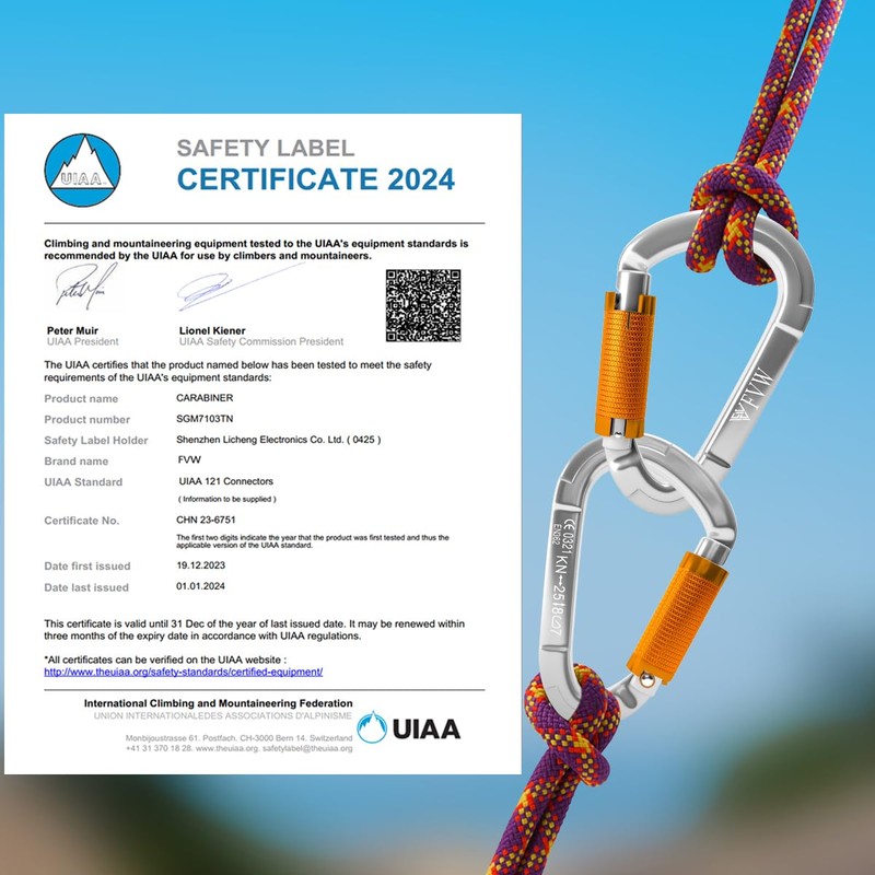 FVW 10 Pack Heavy Duty Climbing Carabiners, 25KN UIAA Certified