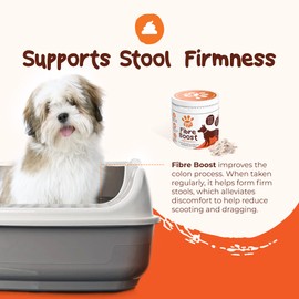 Fibre Boost Cat & Dog Digestive Anal Gland Supplement - Probiotic Support for Dogs w/Fibre, Probiotics, Prebiotics & More – for Dog Gut Health - Gluten-Free Cat Digestive Health Powder