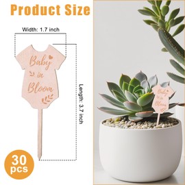 30Pcs Let Love Grow Cloth Shape Wooden Plant Stakes, Watch Me Grow Succulent Tags Baby Shower Favor Labels,Garden Marker Signs for Wedding,Bridal Shower,Anniversary,Thanksgiving,and Potted Plants