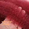 Burgundy Springy Afro Twist Hair 24 Inch 6 Packs Burg