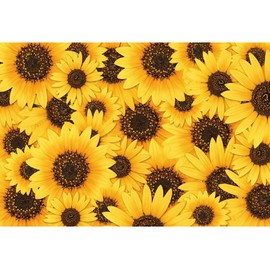 Baocicco 10x8ft Sunflower Backdrop Photography Yellow Flowers Floral Photography Background Happy Birthday Spring Summer Activities Decorations Outdoor Wedding Decors for Kids Adult Props Video