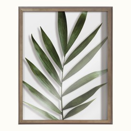 Kate and Laurel Blake Botanical 5F Framed Printed Glass Wall Art by Amy Peterson Art Studio, 16x20 Gold, Decorative Plant Art for Wall