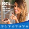 Vegan Ashwagandha Sea Moss Gummies - Black Seed Oil, Vitamin