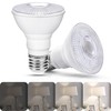 Flaspar PAR20 LED Flood Light Bulb, 8W PAR20 LED Bulbs