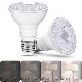 Flaspar PAR20 LED Flood Light Bulb, 8W PAR20 LED Bulbs 75W Equivalent, 800 Lumens, 5000K Daylight White, E26 Medium Base, 60° Beam Reflector Flood Lights for Indoor Outdoor, 2 Pack
