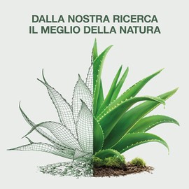 Omia - Salento Organic Soap with Aloe Vera - Liquid Soap for Hands and Face, Moisturising, Softening and Refreshing, Dermatologically Tested - 300ml Bottle