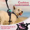 rabbitgoo Dog Harness No Pull with 2 Leash Clips, Adjustable