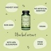 Olive Leaf Extract Vegavero® | Highest Strength 40% Oleuropein |