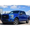 BASF Touch Up Paint for Ford F150 with paint code