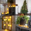 HeaHap Himalayan Salt String Lights with Switch, 20 Natural Salt