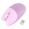 Wireless Mouse BT5.1 Or 2.4GHz Silent Click Adjustable DPI Auto